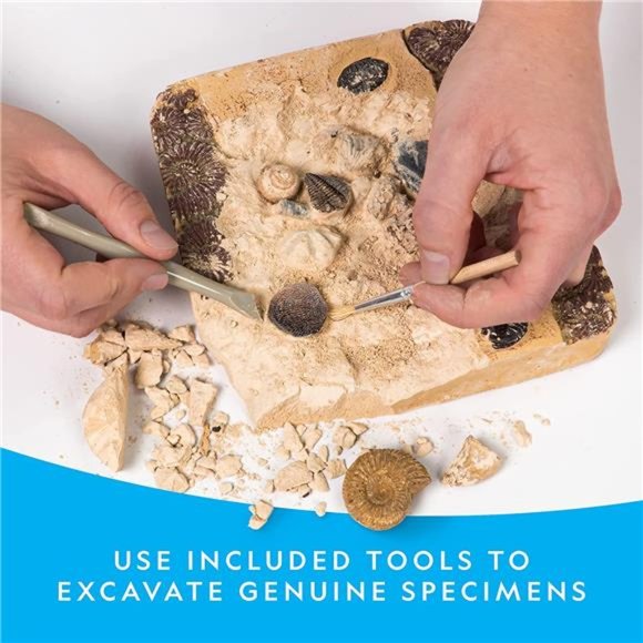 Mega Fossil Dig Kit - Excavate 15 Prehistoric Fossils Including Dinosaur Bones - Picture 4 of 6